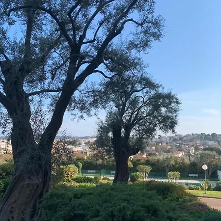 With A Panoramic View At The Last Floor Of The With A Pool Apartment